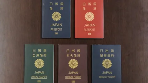 米乐YY易游体育